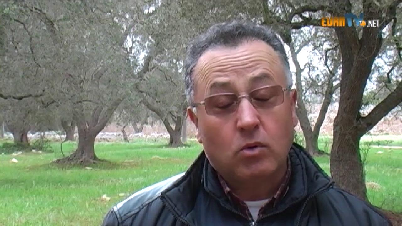 Documentario