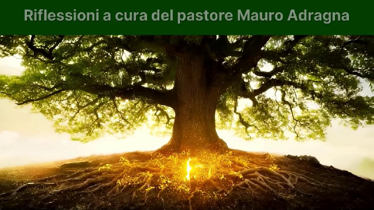 Oltre le Radici
