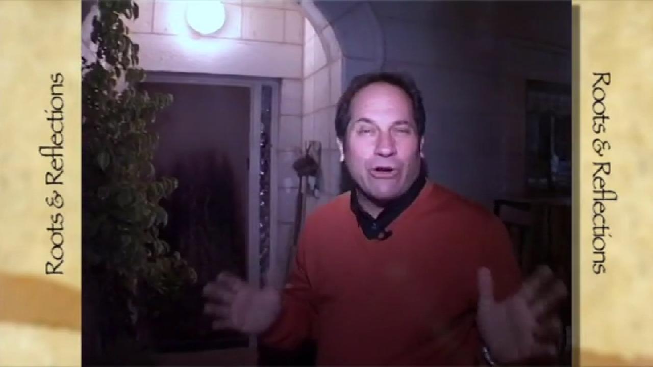 Radici e Riflessioni