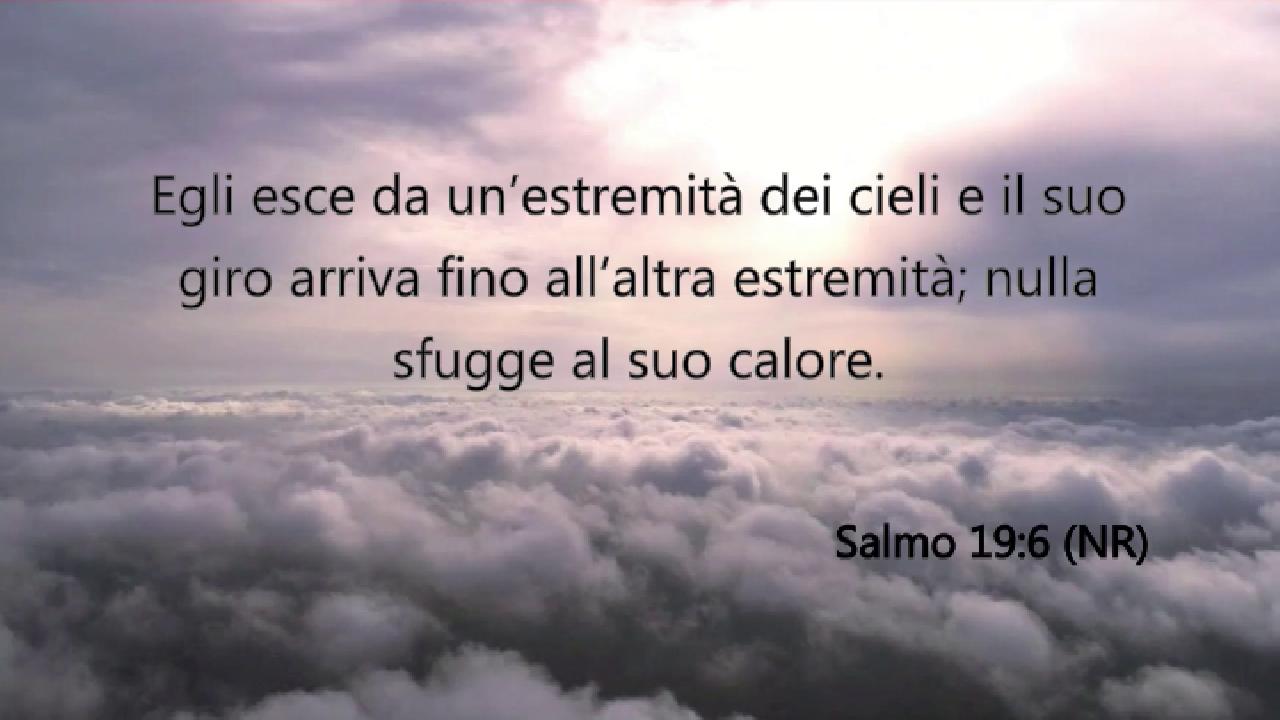 Shalom di Cuore